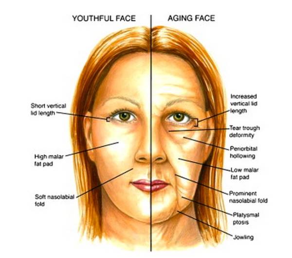 Facial-Aging-Progression