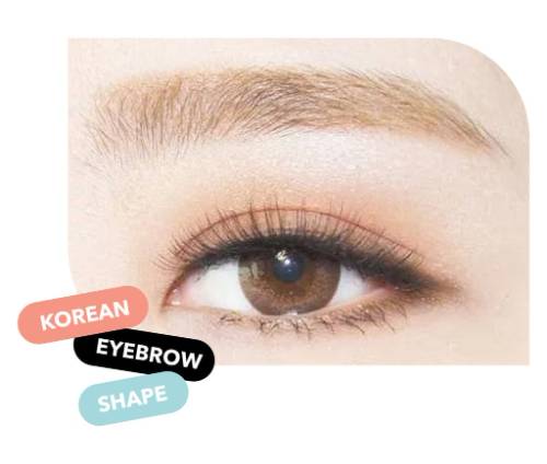 Korean Eyebrow shape