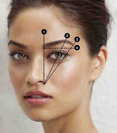 how to Determine Eyebrow Length
