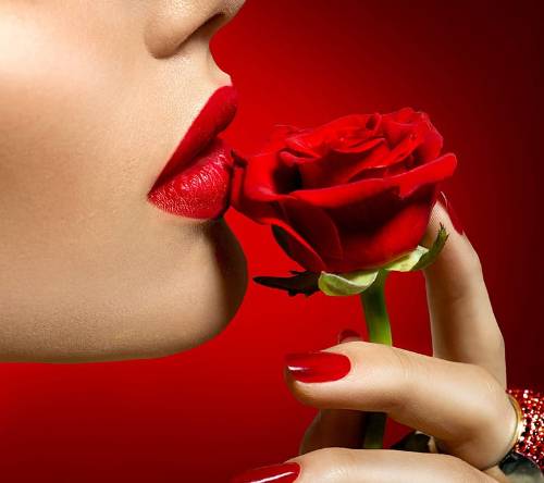 red rose lips